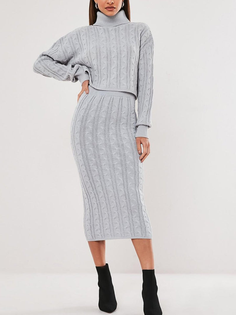 Elegant Turtleneck Long Sleeve Top Skirt Knit Set