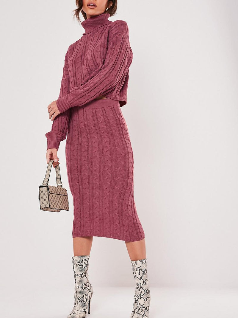 Elegant Turtleneck Long Sleeve Top Skirt Knit Set