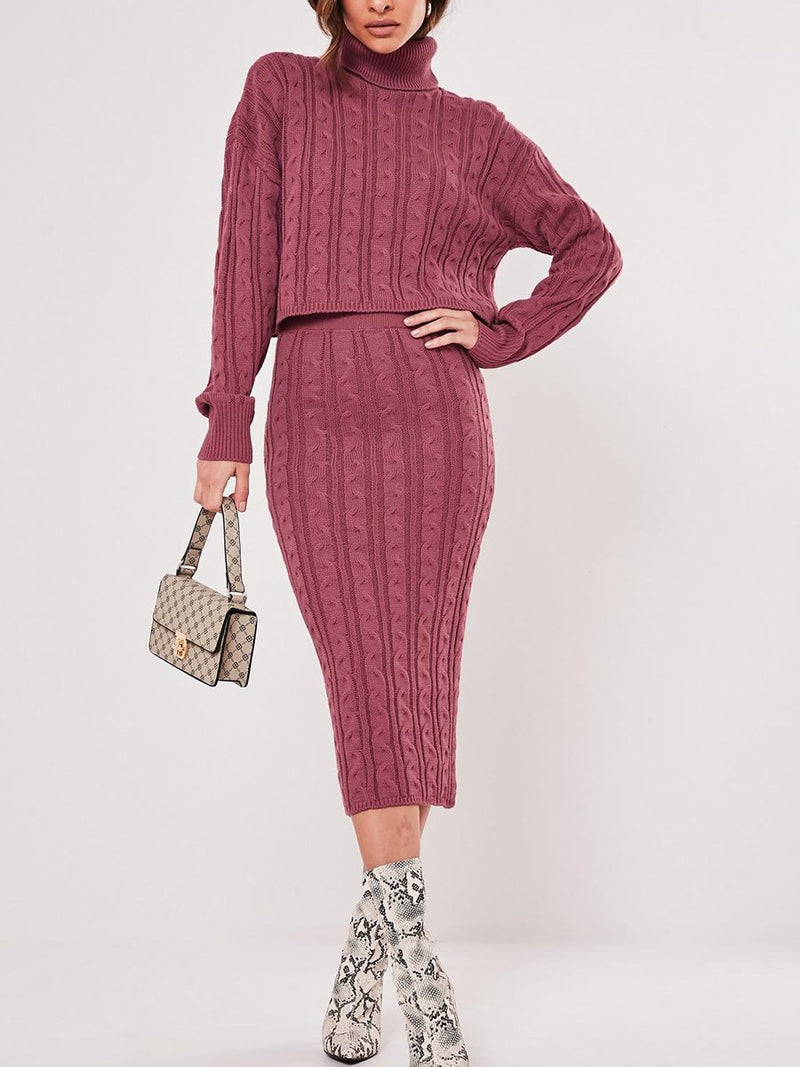 Elegant Turtleneck Long Sleeve Top Skirt Knit Set